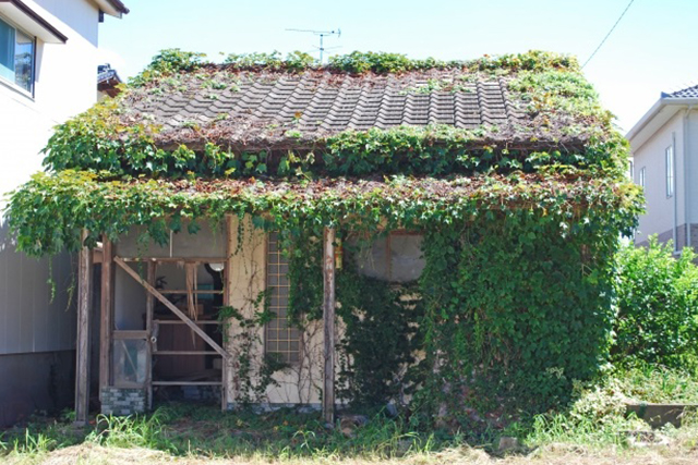 空屋維持管理業